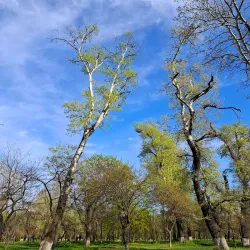 Rustavi Children's Park - Rustavi