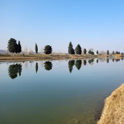 Rustavi Children's Park - Rustavi