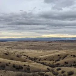Rustavi City Square - Rustavi