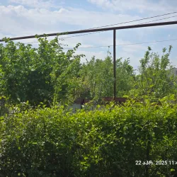 Samtredia Central Park - Samtredia