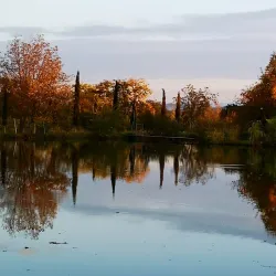 Old Tamarisi Fortress - Tamarisi
