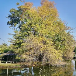 Old Tamarisi Fortress - Tamarisi