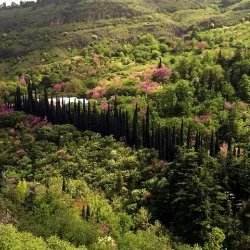 Tamarisi Botanical Garden - Tamarisi