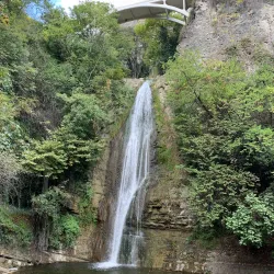 Tamarisi Botanical Garden - Tamarisi