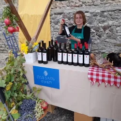 Tamarisi Wine Cellar - Tamarisi