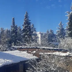 Tamarisi Wine Cellar - Tamarisi