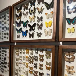 Georgian National Museum - Tbilisi