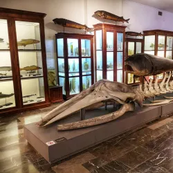 Georgian National Museum - Tbilisi