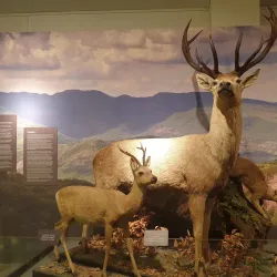 Georgian National Museum - Tbilisi