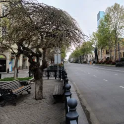 Rustaveli Avenue - Tbilisi