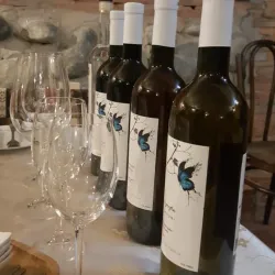 Imereti Wine Tasting Experiences - Tkibuli