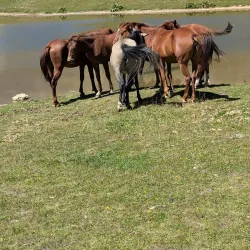 Surrounding Hiking Trails - Tkibuli