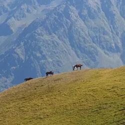 Surrounding Hiking Trails - Tkibuli