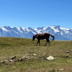 Surrounding Hiking Trails - Tkibuli