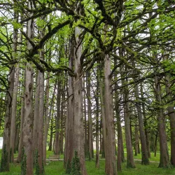 Tkibuli Central Park - Tkibuli