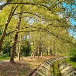 Tkibuli Central Park - Tkibuli