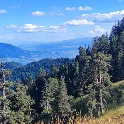 Borjomi-Kharagauli National Park - Tsagveri