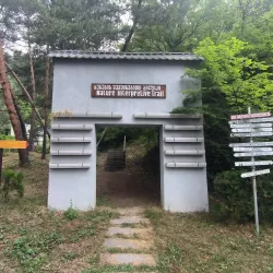Borjomi-Kharagauli National Park - Tsagveri