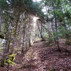 Borjomi-Kharagauli National Park - Tsagveri