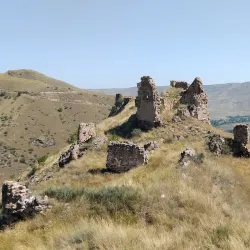 Tmogvi Fortress - Tsagveri