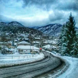 Tsagveri Forests - Tsagveri