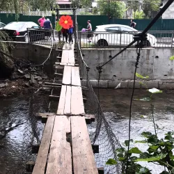 Tsagveri Forests - Tsagveri