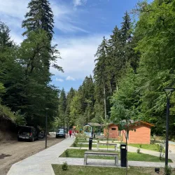 Tsagveri Mineral Springs - Tsagveri