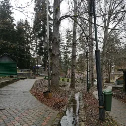 Tsagveri Mineral Springs - Tsagveri
