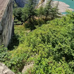 Enguri River - Zugdidi
