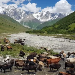 Enguri River - Zugdidi