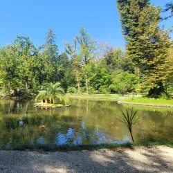 Zugdidi Botanical Garden - Zugdidi