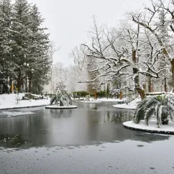 Zugdidi Botanical Garden - Zugdidi