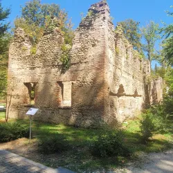 Zugdidi Botanical Garden - Zugdidi