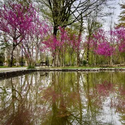 Zugdidi Botanical Garden - Zugdidi