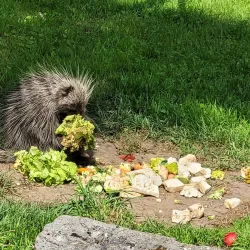 Aachener Tierpark Euregiozoo - Aachen