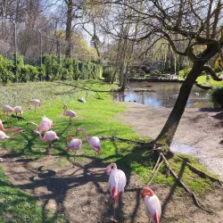 Aachener Tierpark Euregiozoo - Aachen