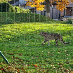 Aachener Tierpark Euregiozoo - Aachen