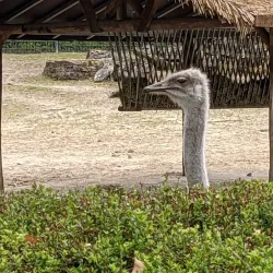 Aachener Tierpark Euregiozoo - Aachen