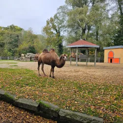 Aachener Tierpark Euregiozoo - Aachen