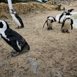 Aachener Tierpark Euregiozoo - Aachen