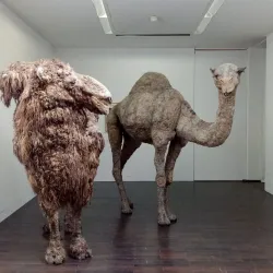 Ludwig Forum for International Art - Aachen