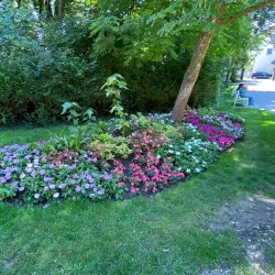 Aalen City Park (Stadtgarten) - Aalen