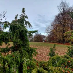 Aalen Hiking Trails - Aalen