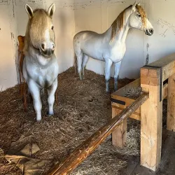 Museum of Local History (Heimatmuseum) - Aalen