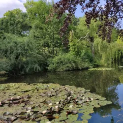 Schloss Fachsenfeld - Aalen