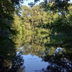 Aichach Castle (Schloss Aichach) - Aichach