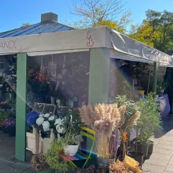Local Farmers' Market - Aichach