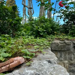 Schlossplatz - Amberg