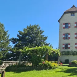 Schlossplatz - Amberg