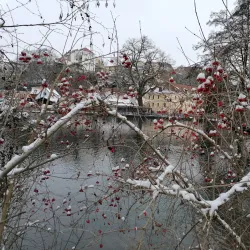 Stadtpark Amberg - Amberg